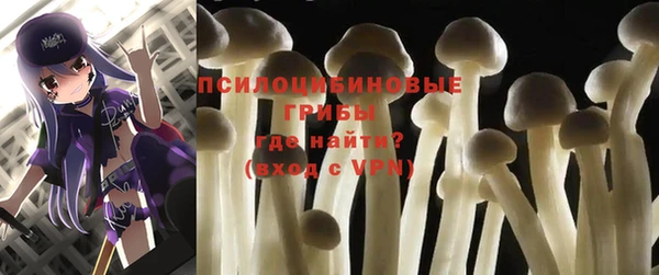 mix Абаза