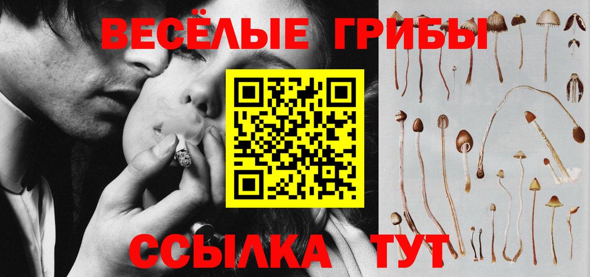 Шахты  Псилоцибиновые грибы Magic Shrooms  Вход с VPN 